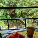 언덕나무펜션 이미지