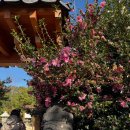 사평대로6길 72-17 | 제주도 블로그 낋여옴🍊