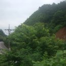 복내택시 이미지