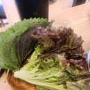 제주대패랑 함경면옥 이미지