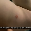 코넬부부의원