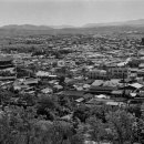 수원-1950 이미지