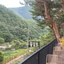 도원운학로 | 원주 계곡카페 추천 이유 물길로 방문 솔직 후기