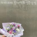 라이네쎄 분당점