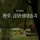 금와습지 생태공원 | 완주, 삼례 금와습지생태공원｜한가진 곳으로 산책하기.