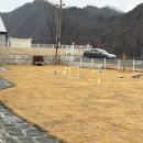 서생 독채 힐링하우스 | [단양 애견동반펜션] 된장이랑 힐링 가득! 독채 감성 숙소 '세모하우스' 후기 🐾