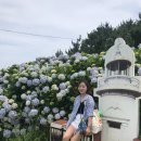 등대와올레길 이미지