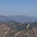 백두 개춘단맥 매곡리~황새봉~깃대봉~개춘산~새별고개~백두 가성산~장군봉~제실고개~462봉~산불지대~감투봉~장척리 이미지