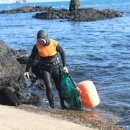 금능맛차롱 협동조합 이미지