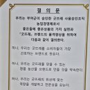 산야유정란 이미지