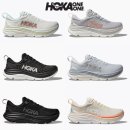 가비오타(GAVIOTA) 이미지