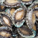 김재덕 농장 이미지