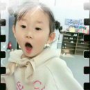 초롱태권도장 이미지