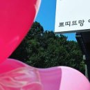 쁘띠뜨망아트스튜디오미술학원