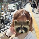 교    리 | 닛폰바시역에서 교토 기요미즈데라 이동하기 🚉 (사카이스지선, 한큐 센리선/교토선, 시조타카쿠라 정류장)