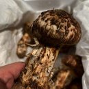 태연8289 풀 리조트 이미지