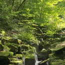 광명여인숙 Daum카페