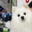 둥이 노래연습장 이미지