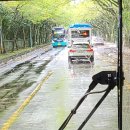 제주대학교 통역번역대학원 | 제주대학교 우중산책 날 여정 돌아보기