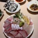 대물개 | 종각 횟집 서울 종각역 대방어 대광어 맛집 회식하기 좋은 대물섬 종로점