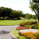 자유컨트리클럽 이미지