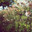 엔케이솔루션 이미지