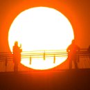 일출전자 이미지