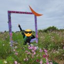 교월동행정복지센터 이미지