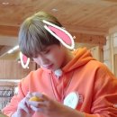 찐토끼 네이버블로그