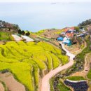 영화목장 이미지