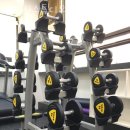 바디신스튜디오 이미지