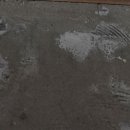 호평로9 이미지