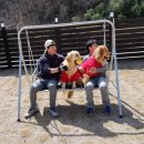 태담이네 하우스 이미지