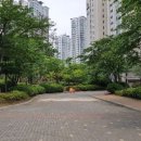 연세이안과 이미지