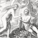 에덴동산 이미지