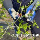 한림꽃농원 이미지