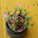 둥지공인중개사무소 이미지