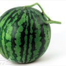 경도축산 이미지