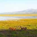 초원여관 이미지