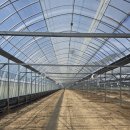 청년 베리팜 이미지