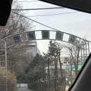 사내중학교 | 서대문구 중학교 학부모연수 추천｜라탄 벽걸이 화병 만들기 출강 후기_연북중학교