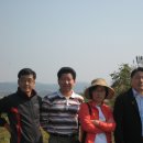 영환농장 Daum카페