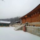 파주송화초등학교 | ❃용상사 소개❃