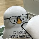 강변해밀민박 이미지