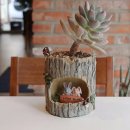 바보다육 쇼핑하우