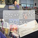 덕양 | 고양 덕양구 사주 타로 상담후기:삶을 보다