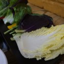 은지식당 이미지