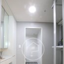 아델리아 이미지