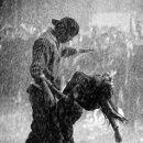 짬뽕취향 이미지