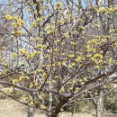 북카페노리 이미지